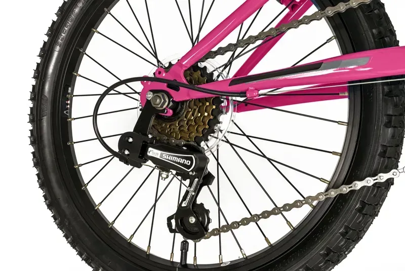Falcon Jade 20 Childrens Bike in Pink-2