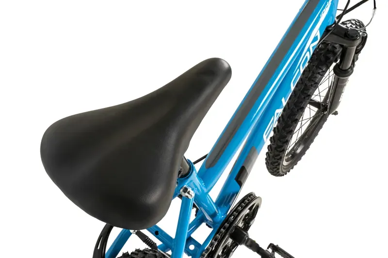 Jade 20 Sky Blue 11 inch frame-5