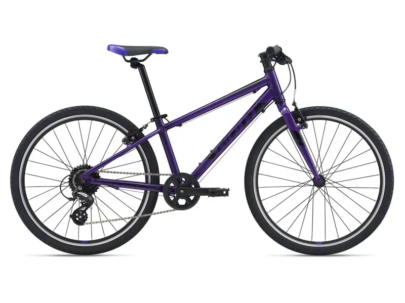 24 Inch Giant Bicycles Arx 24 Bike ARX 24 Purple