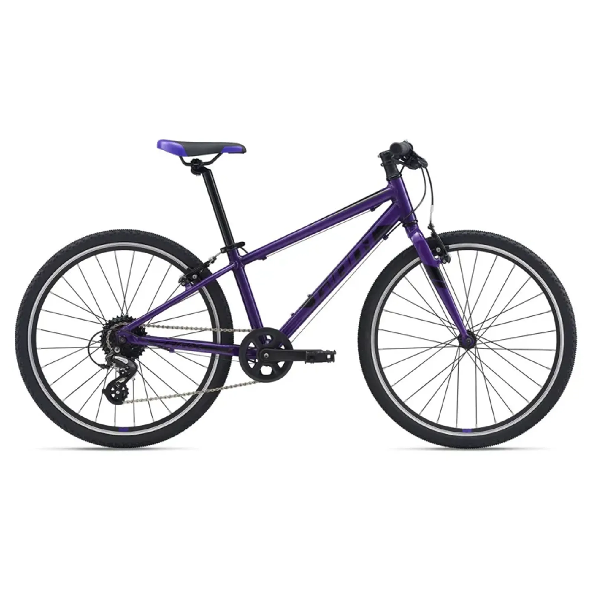 2021 Giant ARX 24 Kids Bike in Purple - Main Image