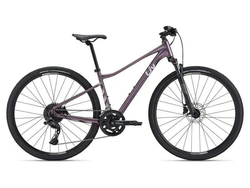 Liv Rove 1 Mountain Bike In Twilight Mauve