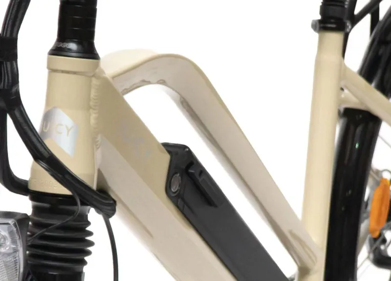 Juicy Roller Ebike 19 inch frame 700c wheels -1